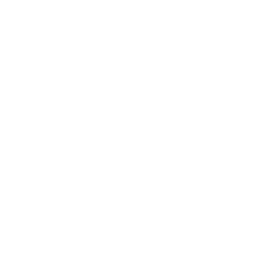 Tile (2,4)